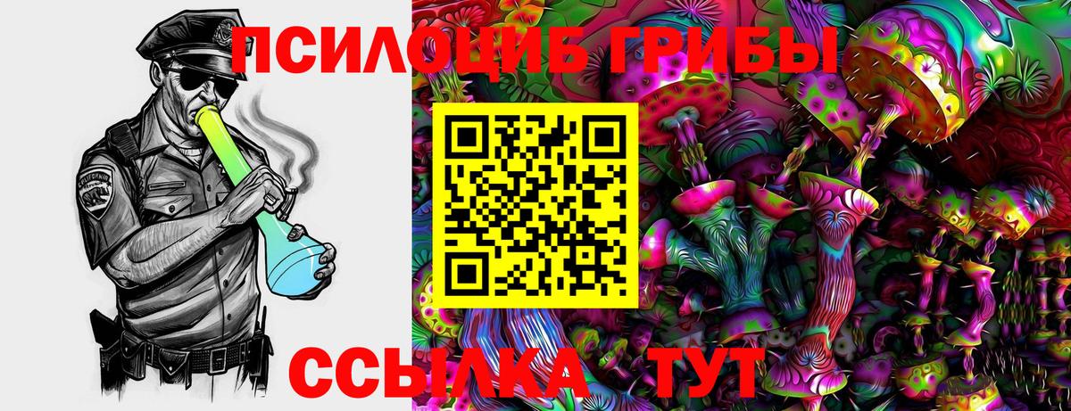 Псилоцибиновые грибы ЛСД Озёры