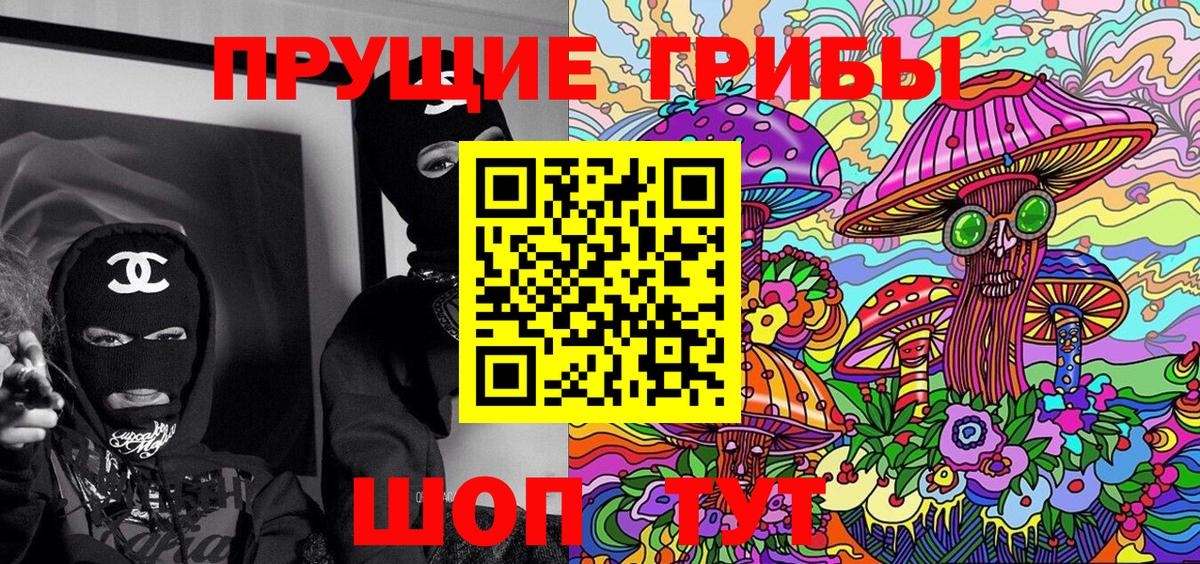 APVP Озёры