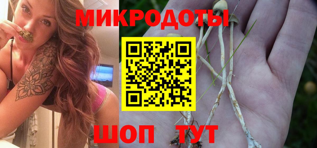 Озёры  Галлюциногенные грибы MAGIC MUSHROOMS  Вход с VPN  Галлюциногенные грибы GOLDEN TEACHER 